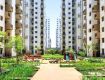 2 BHK 1008 Sq Ft Apartment In Lodha Palava Lakeshore Greens, Dombivali East, Mumbai