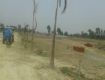 1000 Sq Ft Residential Plot In , Ahmamau, Lucknow