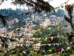 Hangout with best offers with Incentive, Corporate, Family &amp Group Tours Dharamshala