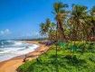 Spend your evening with Goa Beach Tour packages