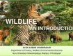 Enjoy with your kids at Wildlife Tour packages
