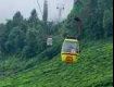Chasing the Golden Sunrise: Autumn Magic in Darjeeling & Tiger Hill