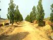 500 Sq Yd Residential Plot In Akash Vihar Elite, Shamshabad, Hyderabad