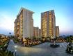 5 BHK 12000 Sq Ft Pent House In SS The Hibiscus, Sector 50, Gurgaon