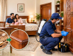 Wood Borer Removal Services in Noida | Surya Pest Control