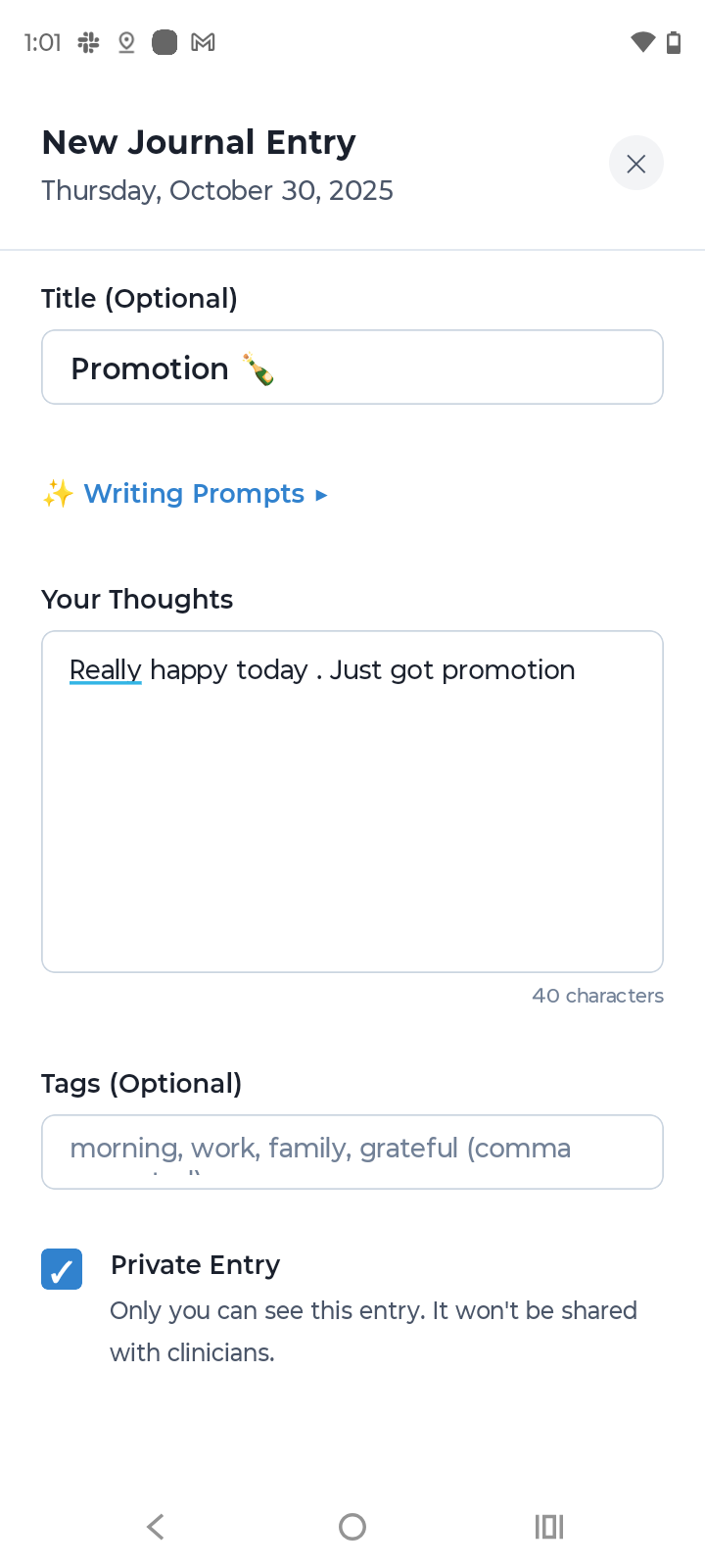 Mentis journaling interface with text and voice input options for mental health reflection