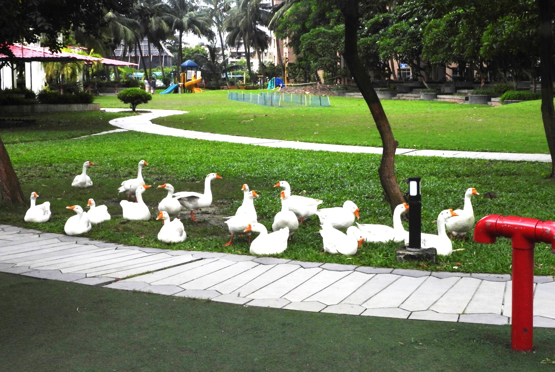PARK