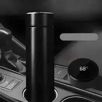 Temperature Display Flask  1