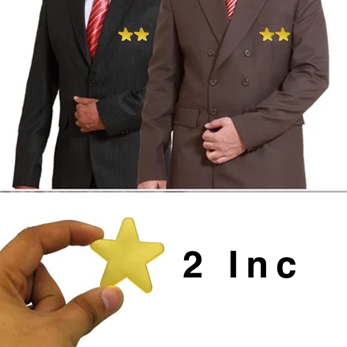 Performance Shining Star Badge 4