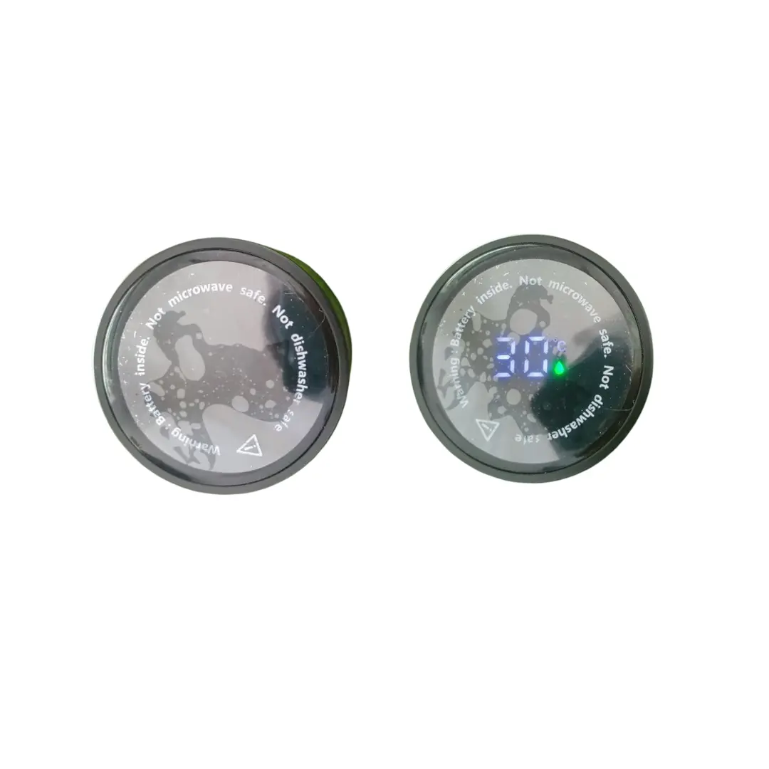 Temperature Display Flask  - View 2