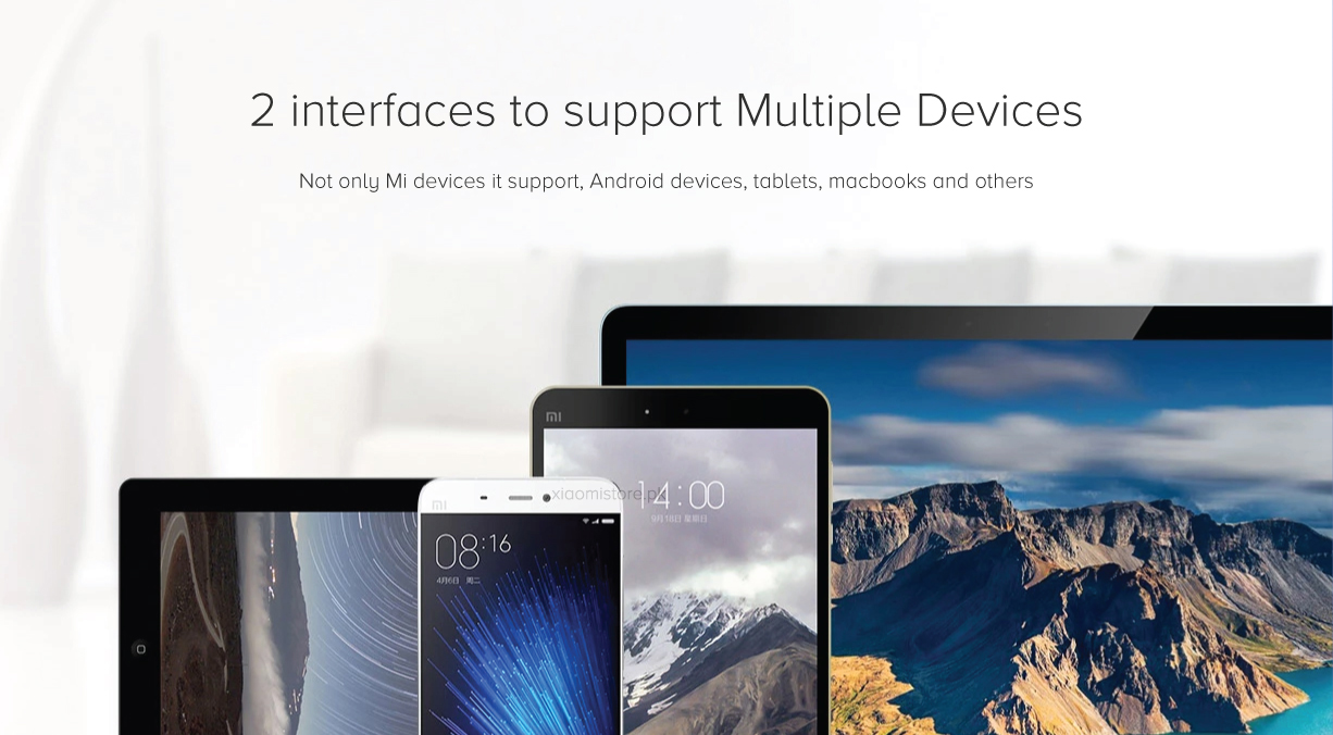 Mi 2 in 1 Type C+Micro Cable