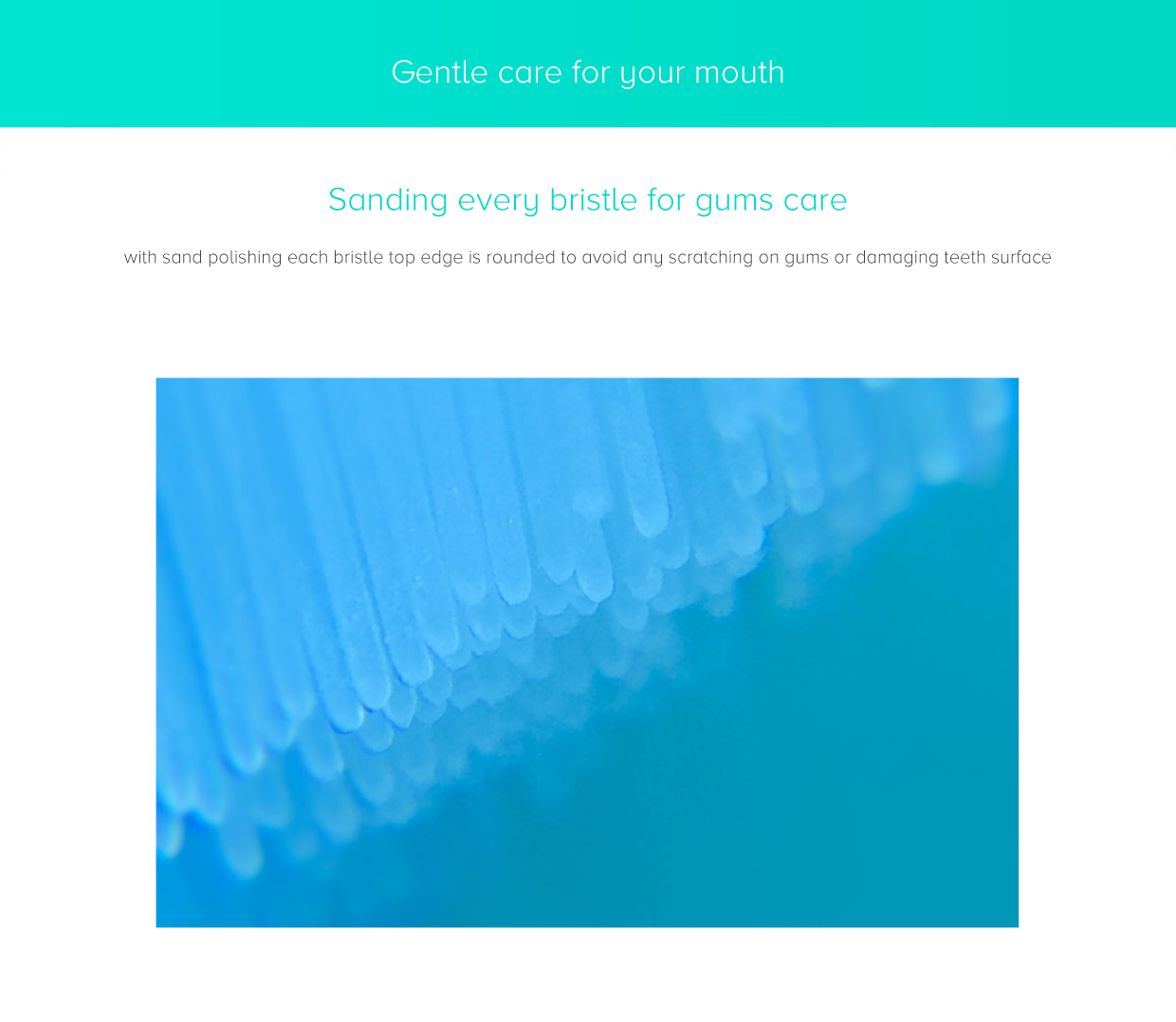 Mi Sonic Electric Toothbrush Head Mi Sonic Electric Toothbrush Head