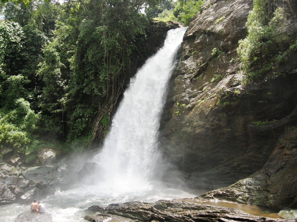 Soochipara_Waterfalls.jpg