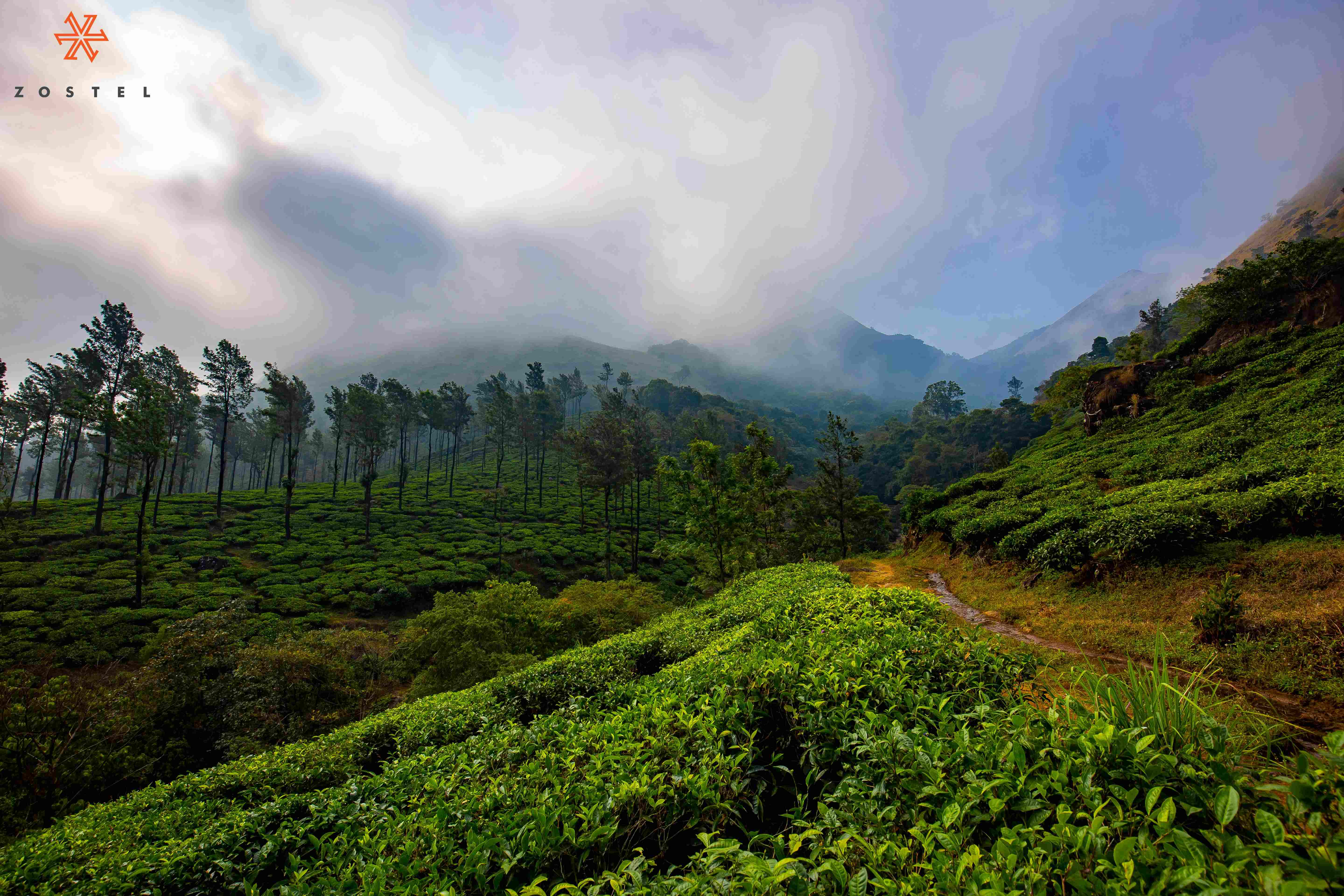 8 Reasons to make Wayanad your next Backpacking Destination in Kerala