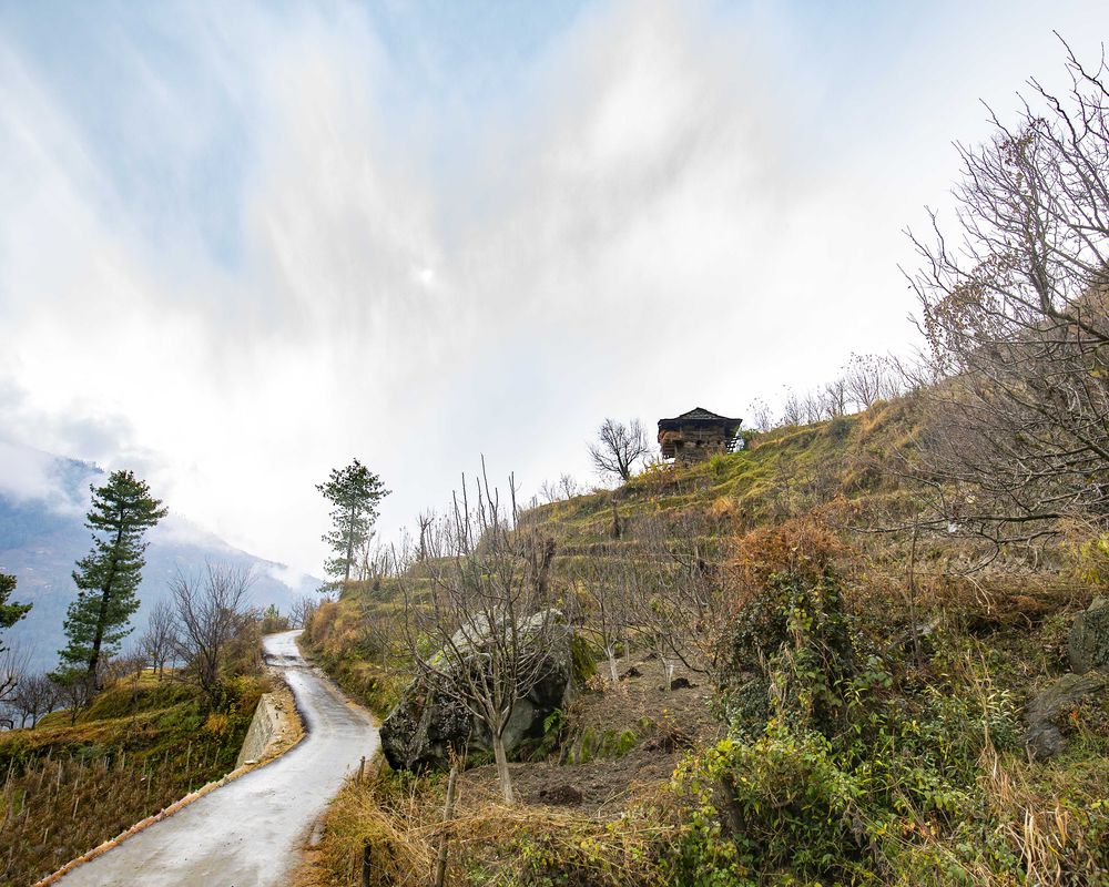 ZostelX Laida Vlillage Road Village